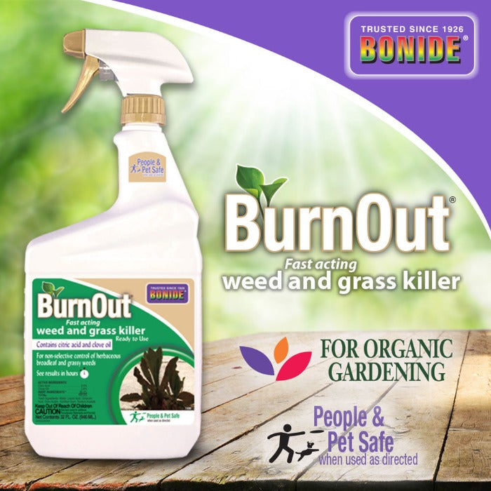 Bonide BurnOut weed killer spray bottle with beige trigger and green label on wood deck on Tampa Home & Garden Store
