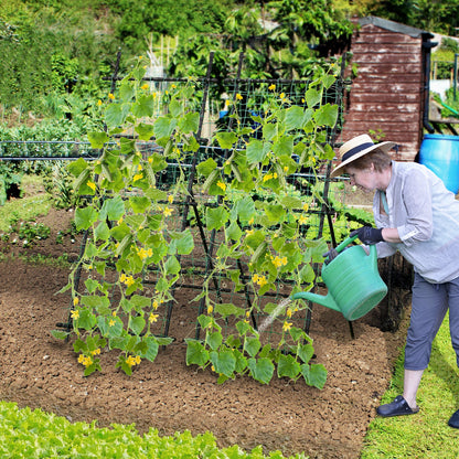 74 Inch Tall Garden Trellis for Flower Vine Vegetable Fruit Pea-Black
