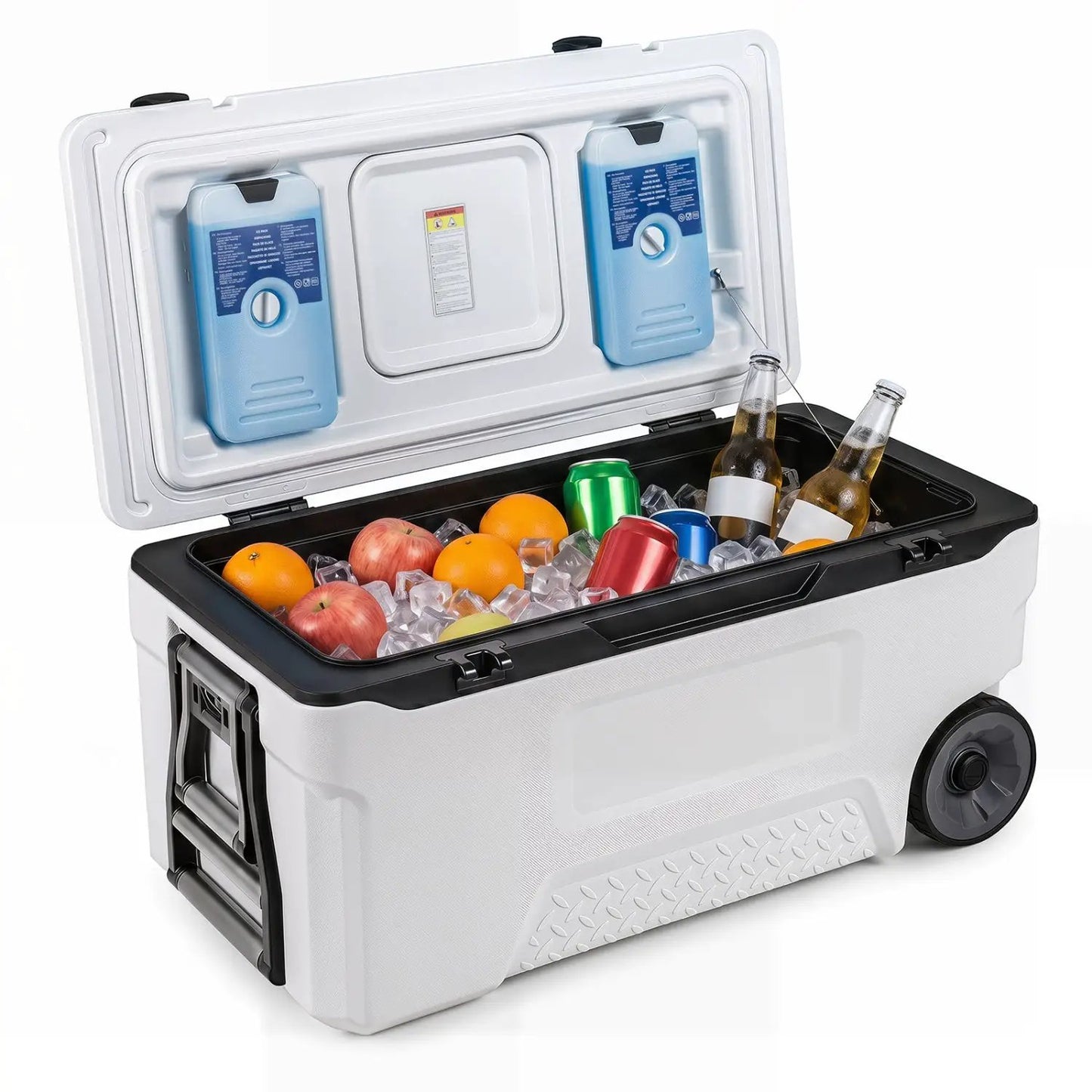 74 Quart Roller Cooler with Wheels and Fish Ruler