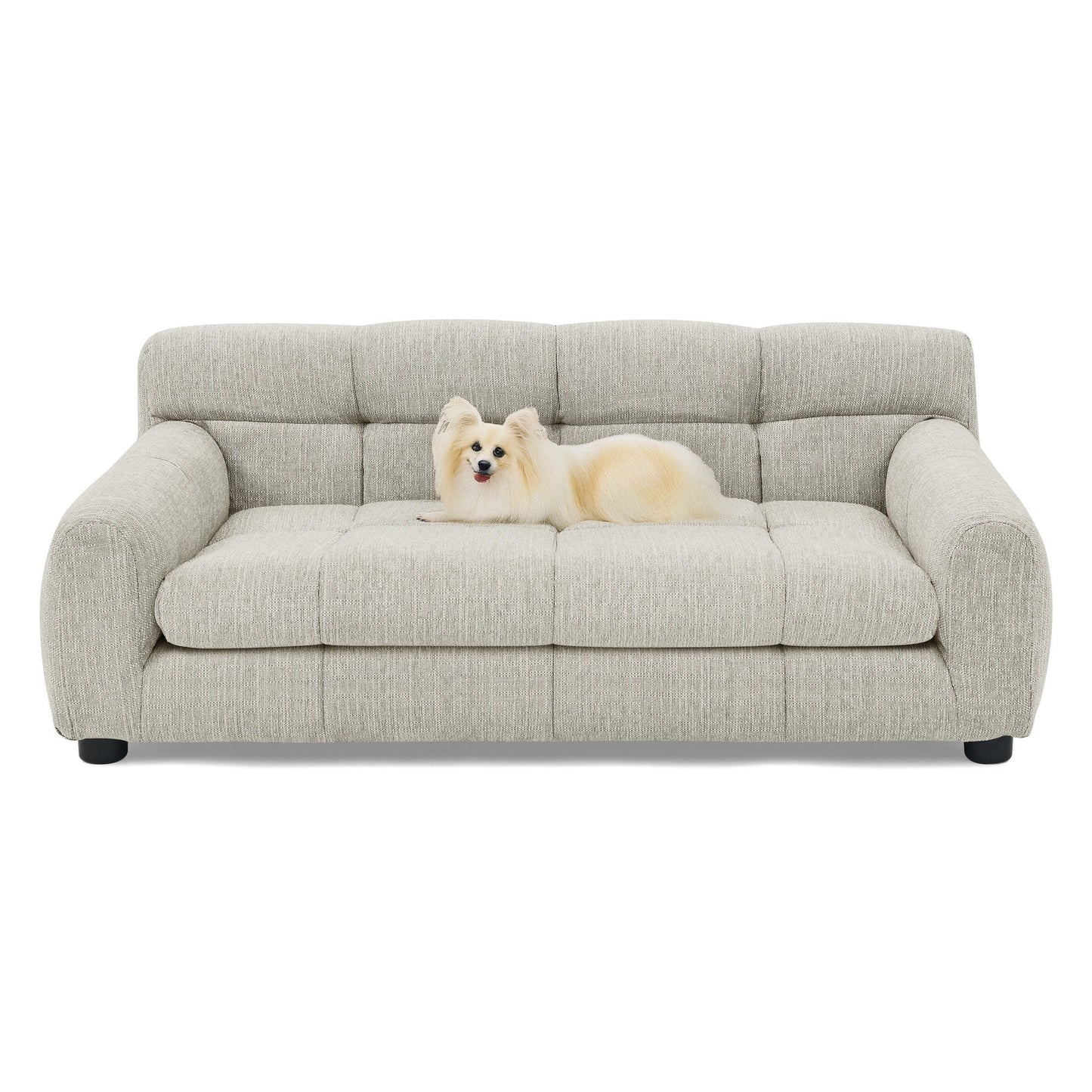 Modern Pet Sofa with Backrest and Armrests in beige textured fabric by HouseOfZazla on Tampa Home & Garden Store