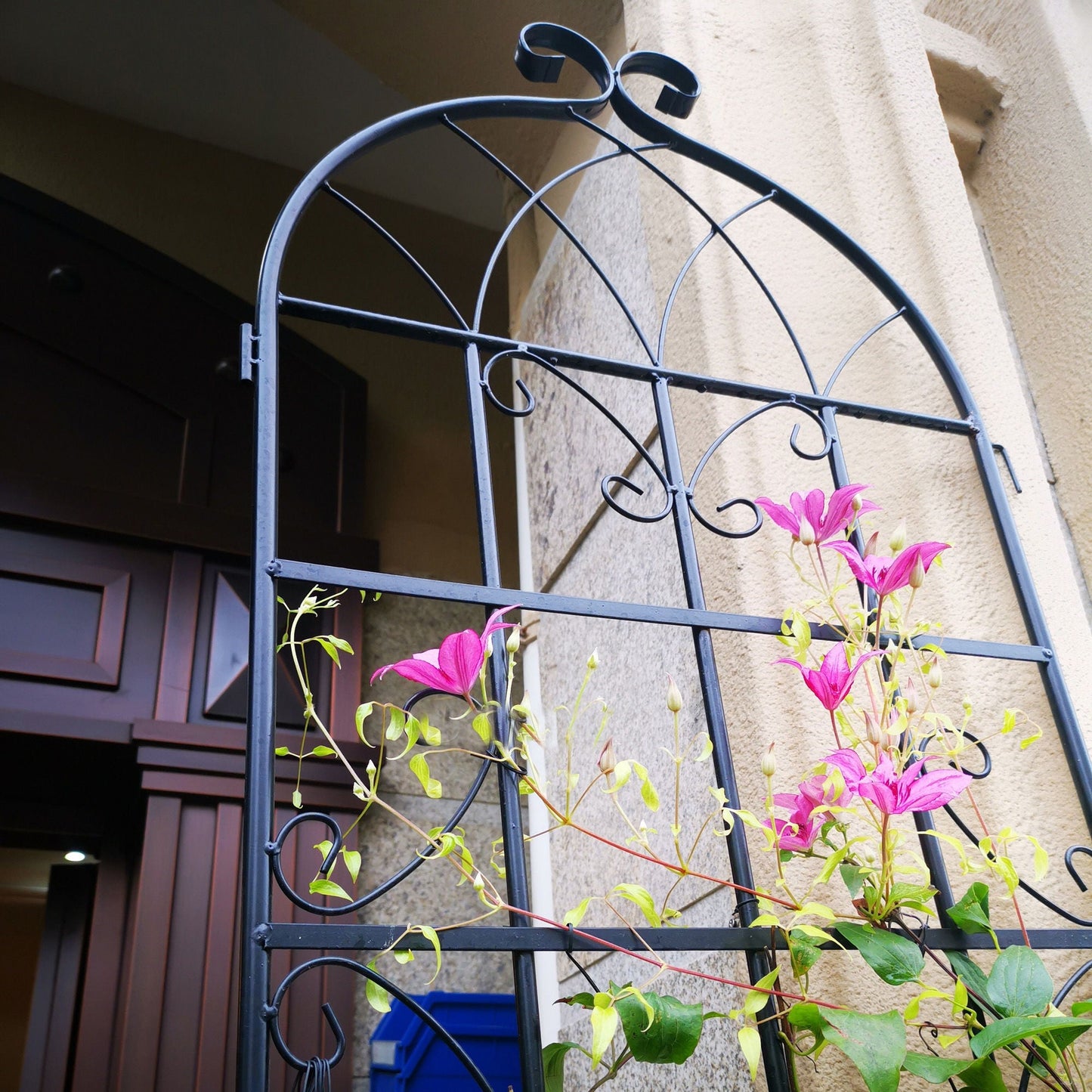 Metal Trellis For Climbing Plants And Vines