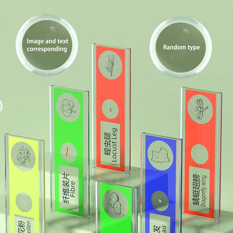 Pocket microscope display set with 6 colorful acrylic panels and labeled science tiles on Tampa Home & Garden Store