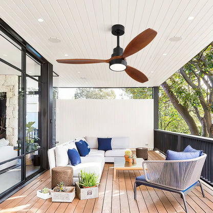 Ceiling fan with DC motor by Unique Piece Furniture, black housing and solid wood blades on Tampa Home & Garden Store