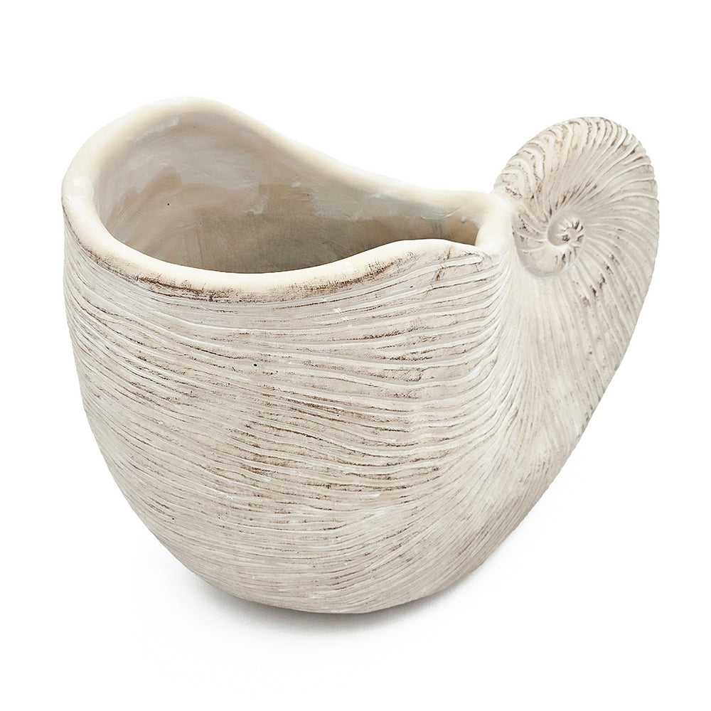 Nautilus shell planter, textured beige sand-cement finish, 11.5x6.7x7.7 in, by HouseOfZazla on Tampa Home & Garden Store