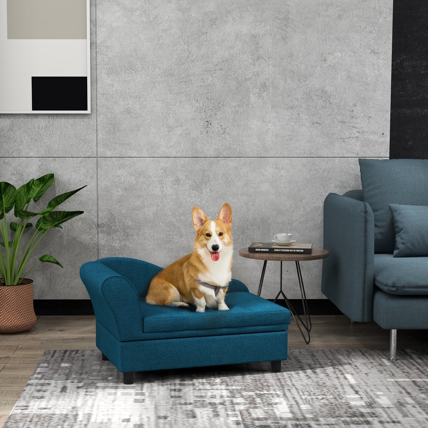 PawHut elevated pet sofa bed in blue upholstery with a corgi on it in a stylish living room on Tampa Home & Garden Store