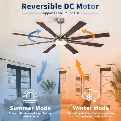 Large 8-blade ceiling fan with dimmable LED light, remote, reversible DC motor HouseOfZazla on Tampa Home & Garden Store