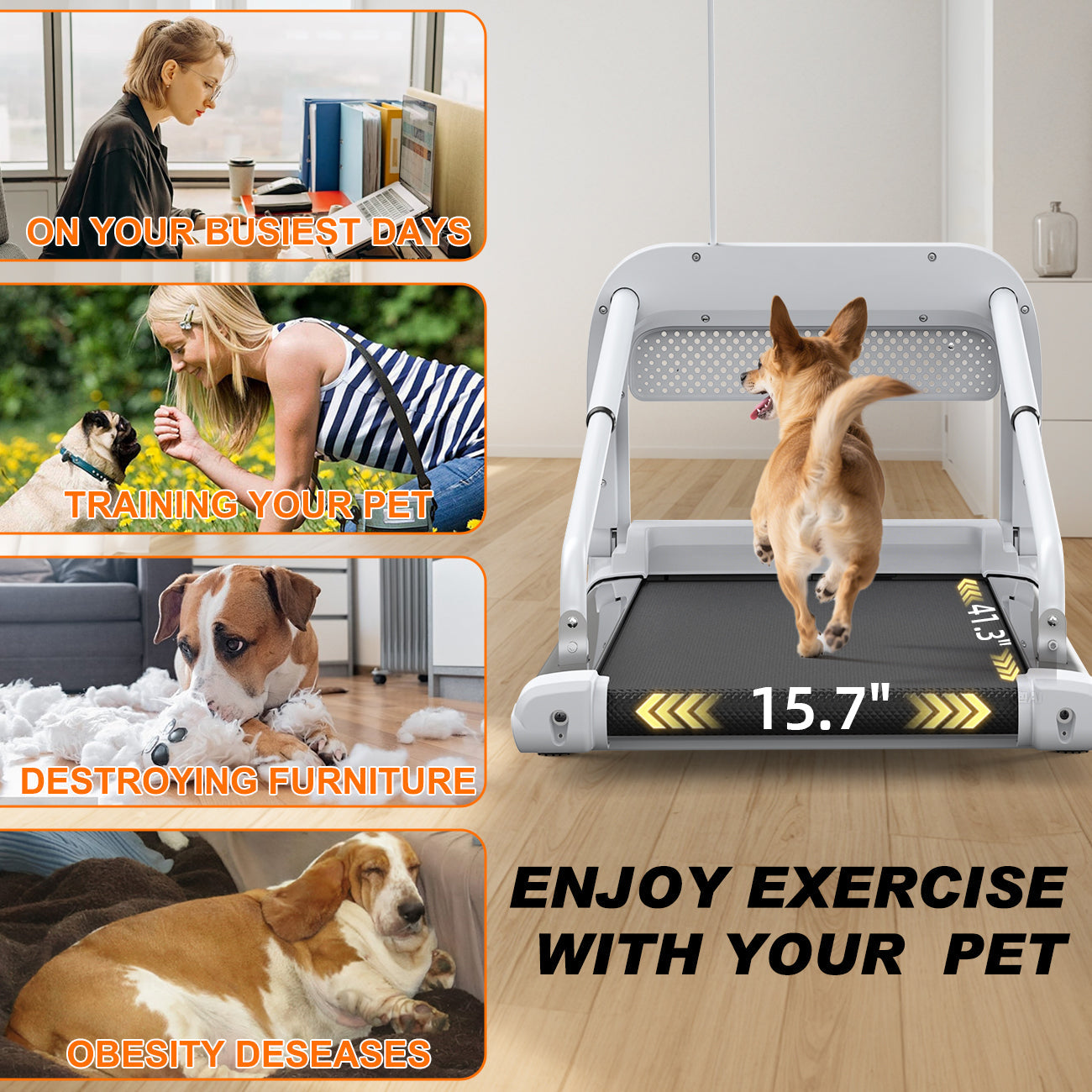 2025 New Quiet Smart Pet Treadmill by HouseOfZazla with dog on belt in modern home 15.7in on Tampa Home & Garden Store