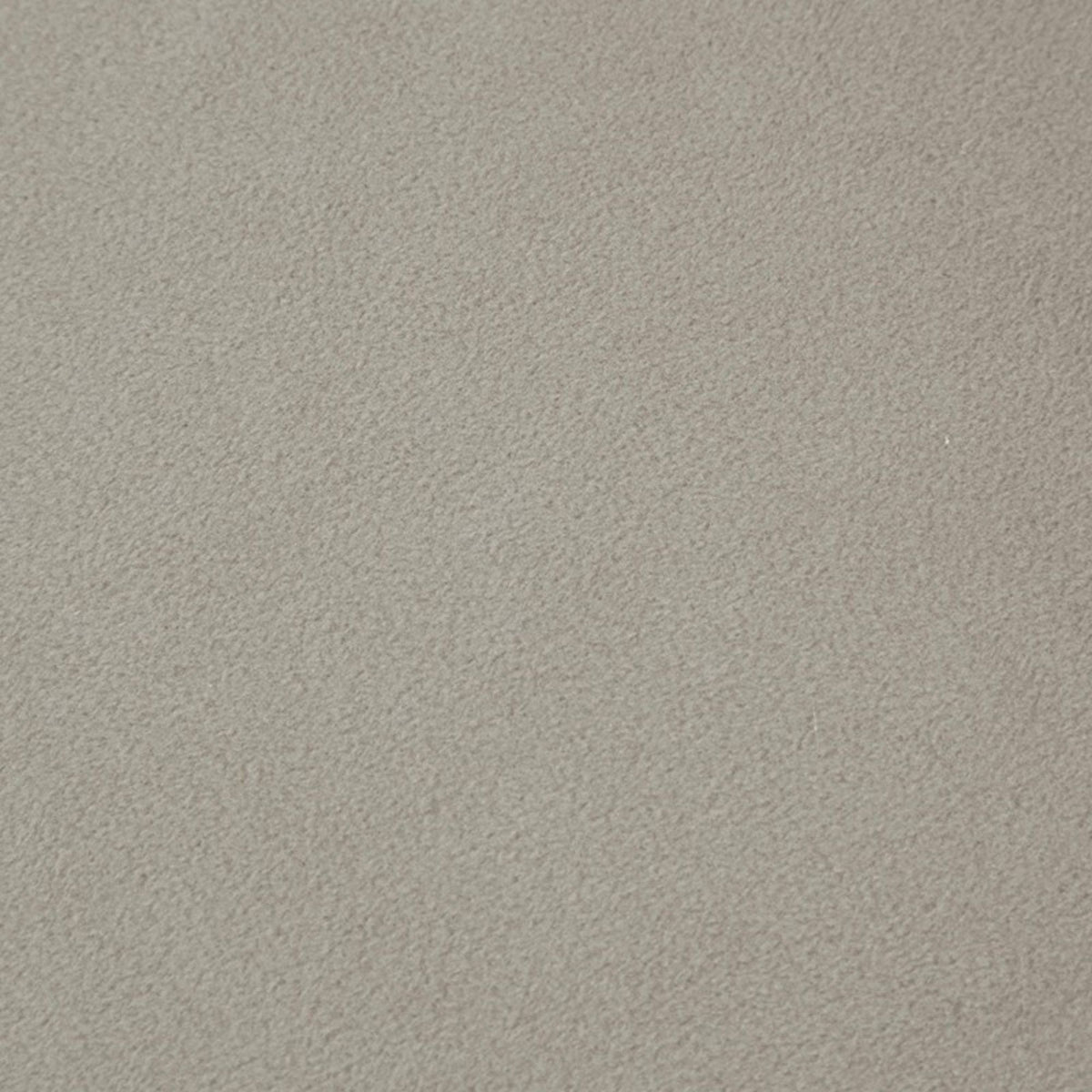 Close-up of beige plush carpet texture on Tampa Home & Garden Store