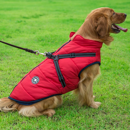 Pet Zen red quilted hooded dog coat for small dogs with black trim on leash outdoors on Tampa Home & Garden Store