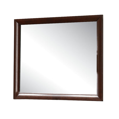 Ireland Contemporary Design Mirror by HouseOfZazla, dark wood frame, rectangular mirror on Tampa Home & Garden Store