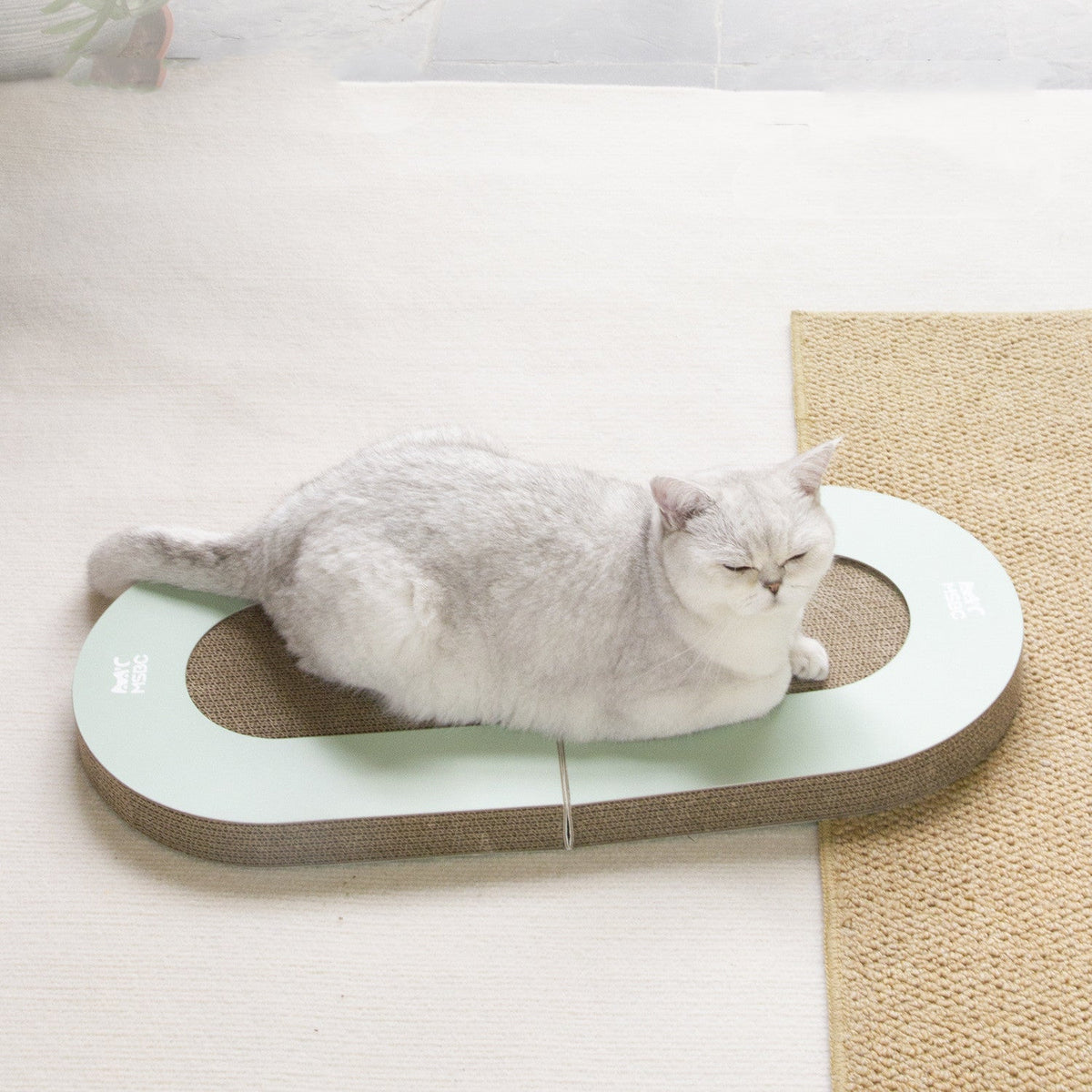 Corrugated Paper Folding Cat Grab Board with Ball toy, mint-green ring, Sell My Stuff on Tampa Home & Garden Store