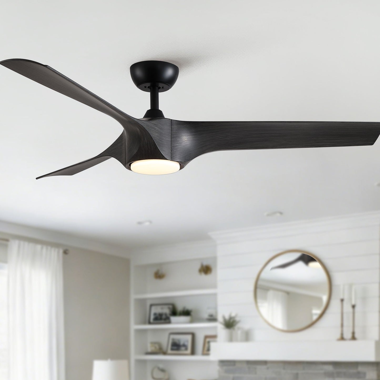 Ceiling fan by HouseOfZazla with 3 dark ABS blades and built-in light on Tampa Home & Garden Store
