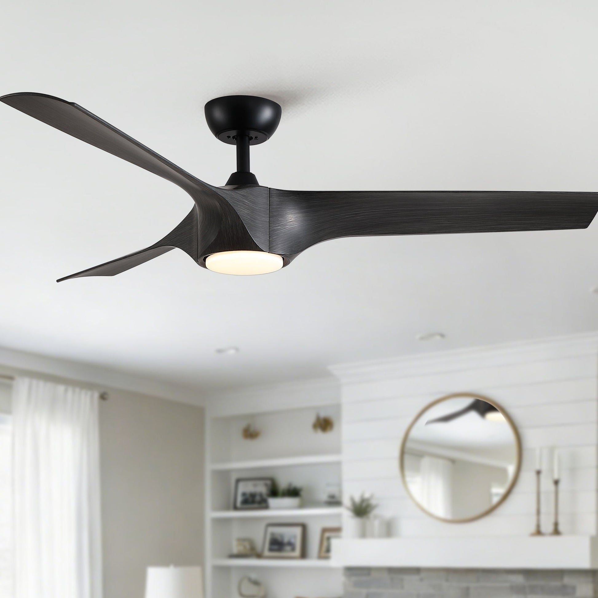 Ceiling fan by HouseOfZazla with 3 dark ABS blades and built-in light on Tampa Home & Garden Store