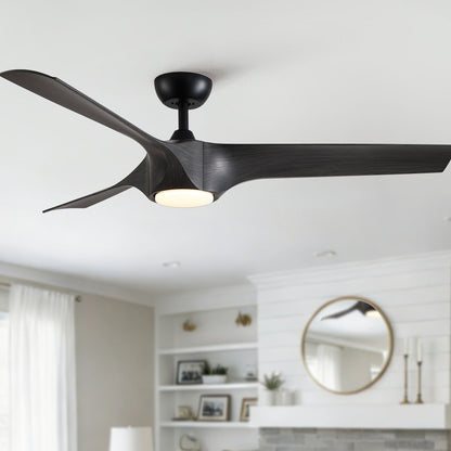 Ceiling fan by HouseOfZazla with 3 dark ABS blades and built-in light on Tampa Home & Garden Store