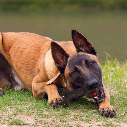 Durable Dog Chew Toy for aggressive chewers black food-grade interactive toy for md/lg dogs on Tampa Home & Garden Store