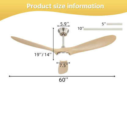 Smart Ceiling Fan With Lights, DC Motor Indoor