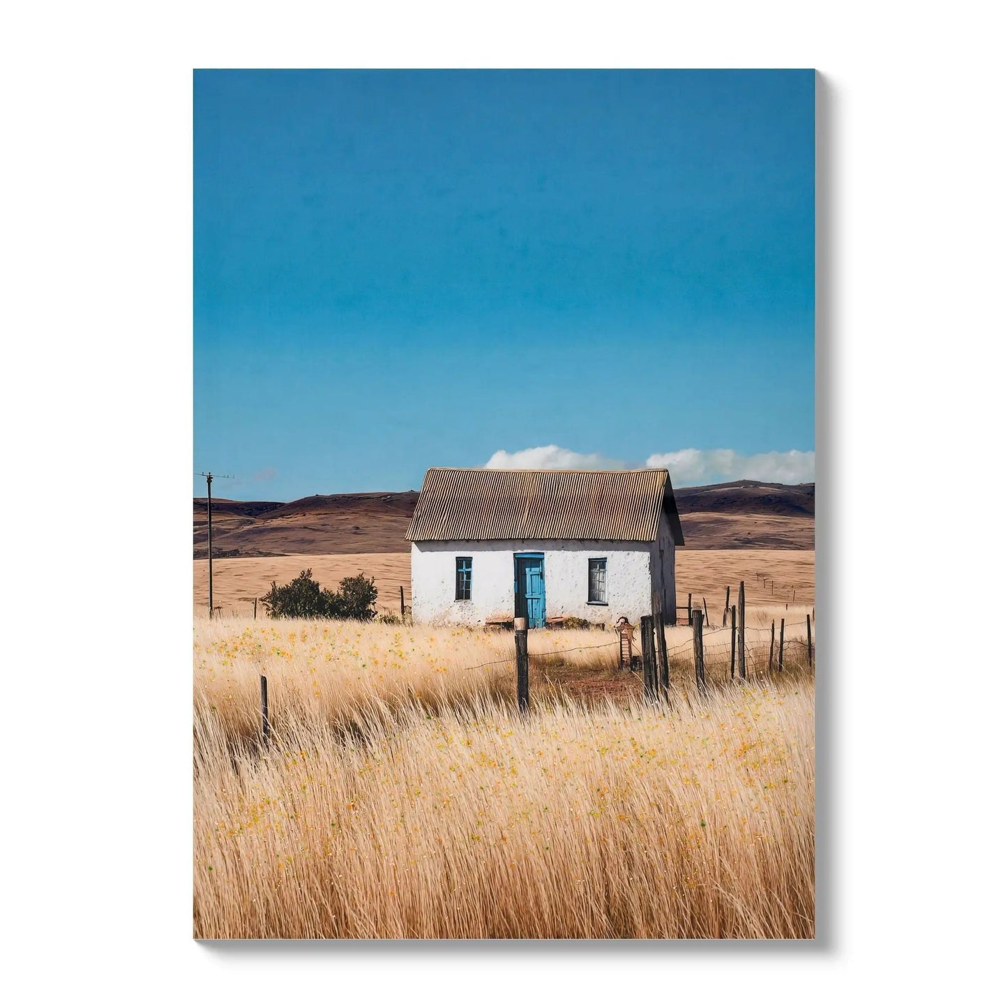 Canvas Art white house in a natural rural field with blue doors and windows under a blue sky on Tampa Home & Garden Store