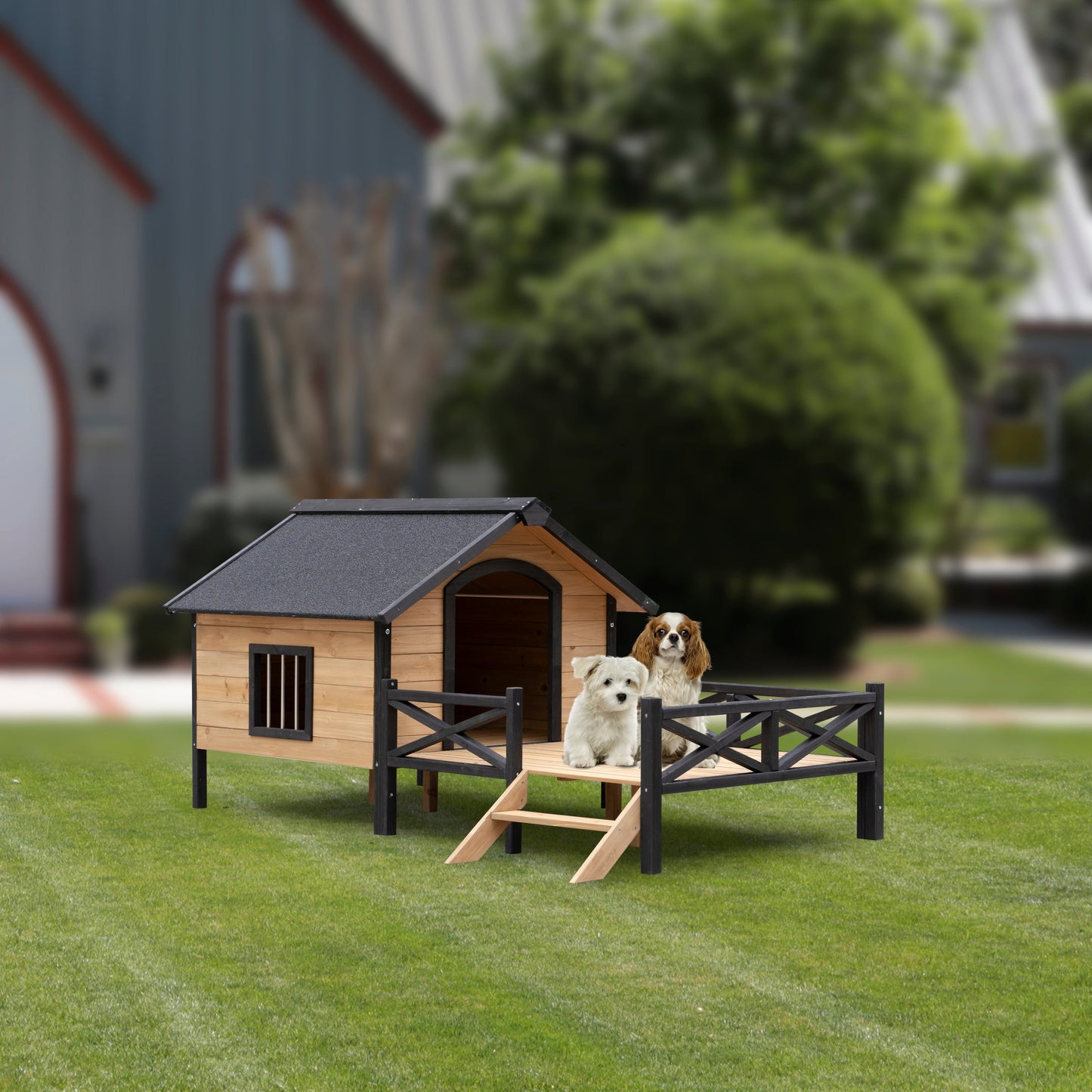 Outdoor wooden cabin style dog kennel with porch natural finish black trim dogs at doorway on Tampa Home & Garden Store