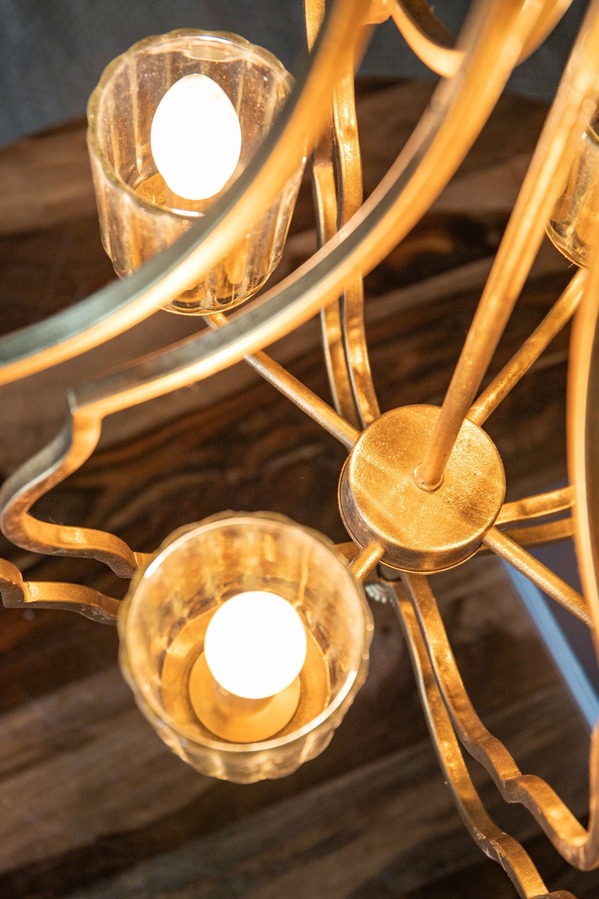 4-light gold metal chandelier with adjustable chain and glass shade cups on Tampa Home & Garden Store