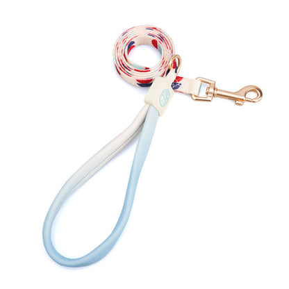 Fashion Y-shaped chest strap dog leash by Pet Zen with blue loop handle and gold clasp on Tampa Home & Garden Store