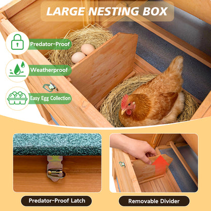 80-Inch wooden chicken coop with nest box, straw nest and two eggs on Tampa Home & Garden Store
