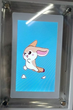 Digital picture frame in clear acrylic housing displaying vertical blue screen with cartoon bunny on Tampa Home & Garden Store