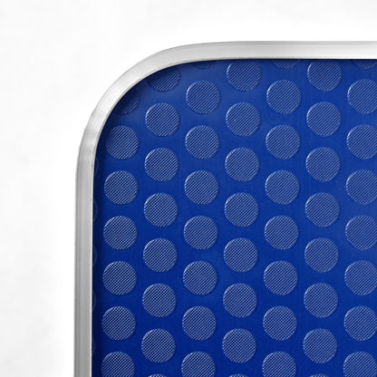 Grooming table blue top with textured circular non-slip surface and metal edge for pets on Tampa Home & Garden Store