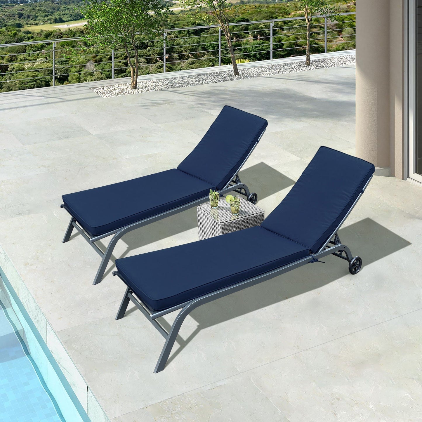 Outdoor Chaise Lounge Seat and Back Cushion
