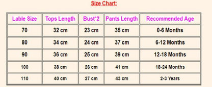 Stevvex Hip Hop 2-piece toddler set, short sleeve T-shirt and pants in military style; size chart 70–110 cm on Tampa Home & Garden Store