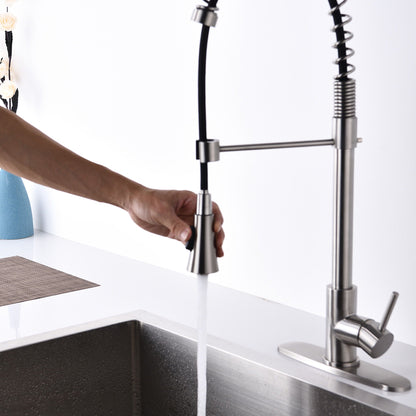 Modern Single Handle Faucet With Filter And Spray