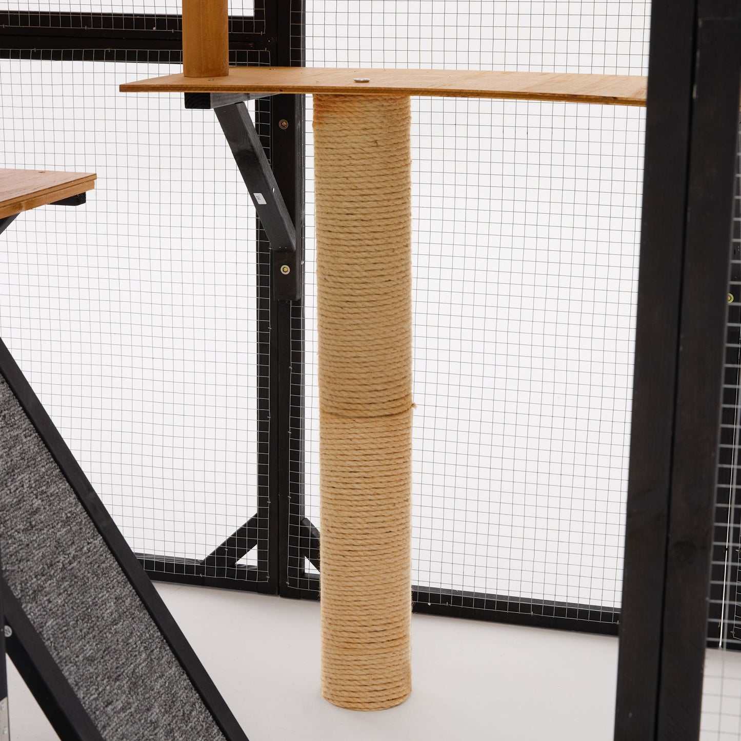 Multi Level Outdoor Cat Enclosure and Platform