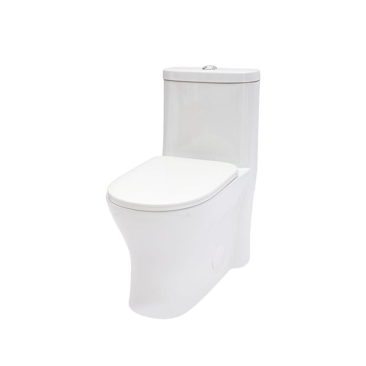 Dual Flush 1-Piece Toilet white with soft-closing seat and chrome flush button on Tampa Home & Garden Store