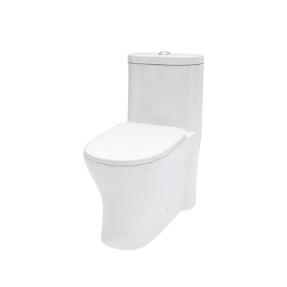 Dual Flush 1-Piece Toilet white with soft-closing seat and chrome flush button on Tampa Home & Garden Store