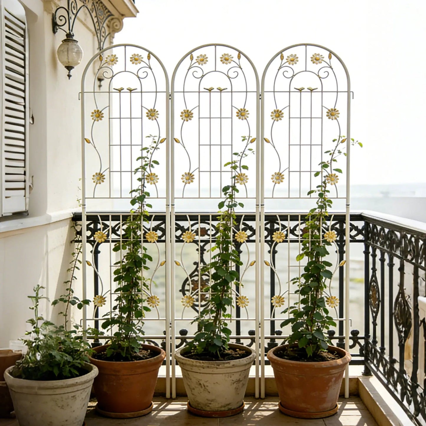 Metal Garden Trellis for Climbing Plants Outdoor