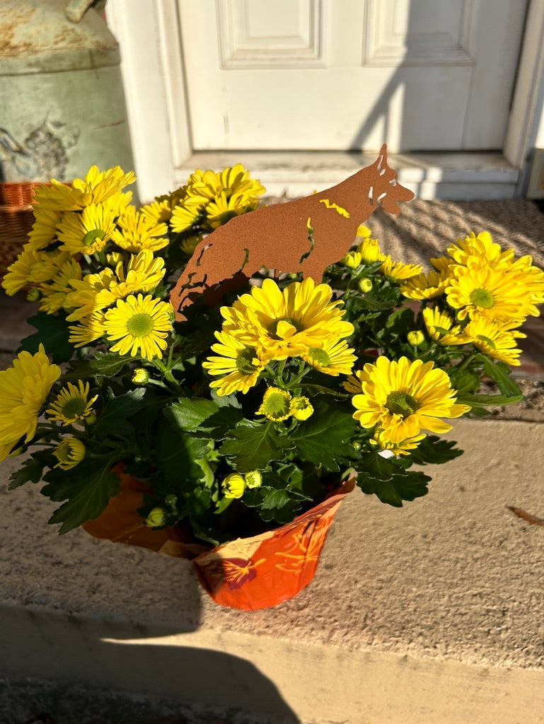 German Shepherd Plant Stake in rusty metal silhouette atop yellow mums by Rustica Ornamentals on Tampa Home & Garden Store