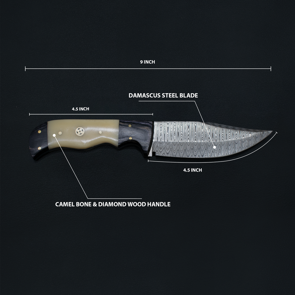Damascus steel hunting knife TD-170 by Titan with camel bone & diamond wood handle, 9 inch blade on Tampa Home & Garden Store