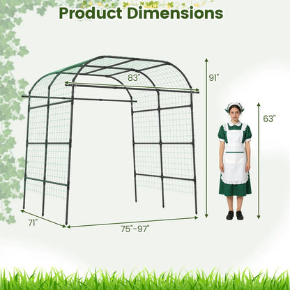Tall Metal Garden Arch Trellis Climbing Plants