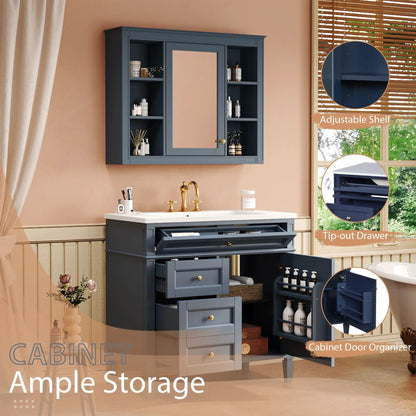 Blue bathroom vanity with mirror cabinet, single sink, two soft closing doors and four drawers on Tampa Home & Garden Store