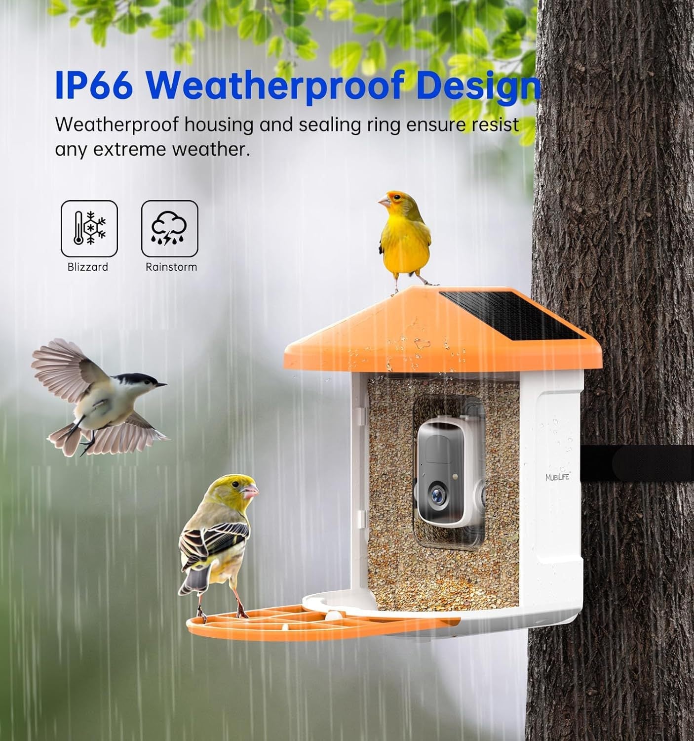 Smart Feeder Surveillance Wireless Camera bird feeder with orange roof, IP66 weatherproof on Tampa Home & Garden Store