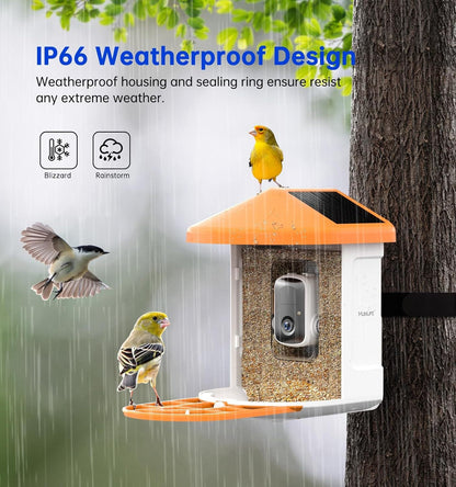 Smart Feeder Surveillance Wireless Camera bird feeder with orange roof, IP66 weatherproof on Tampa Home & Garden Store