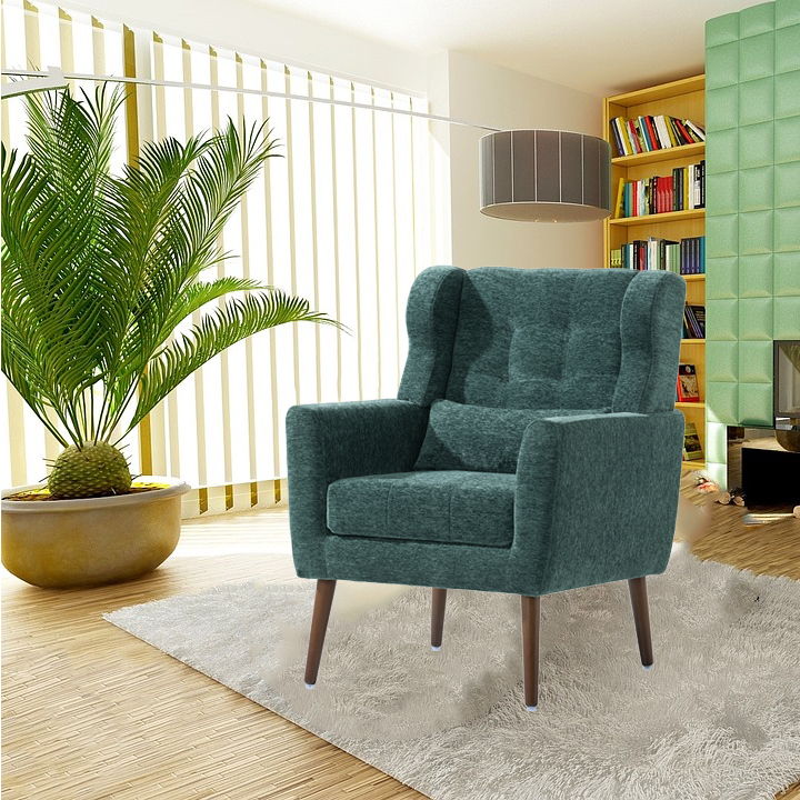 Modern Padded Accent Chair and Extra Pillow