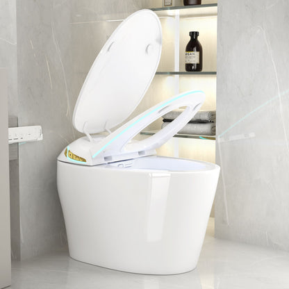 Smart Toilet with Ceramic Bidet, white with matte black accents HouseOfZazla on Tampa Home & Garden Store