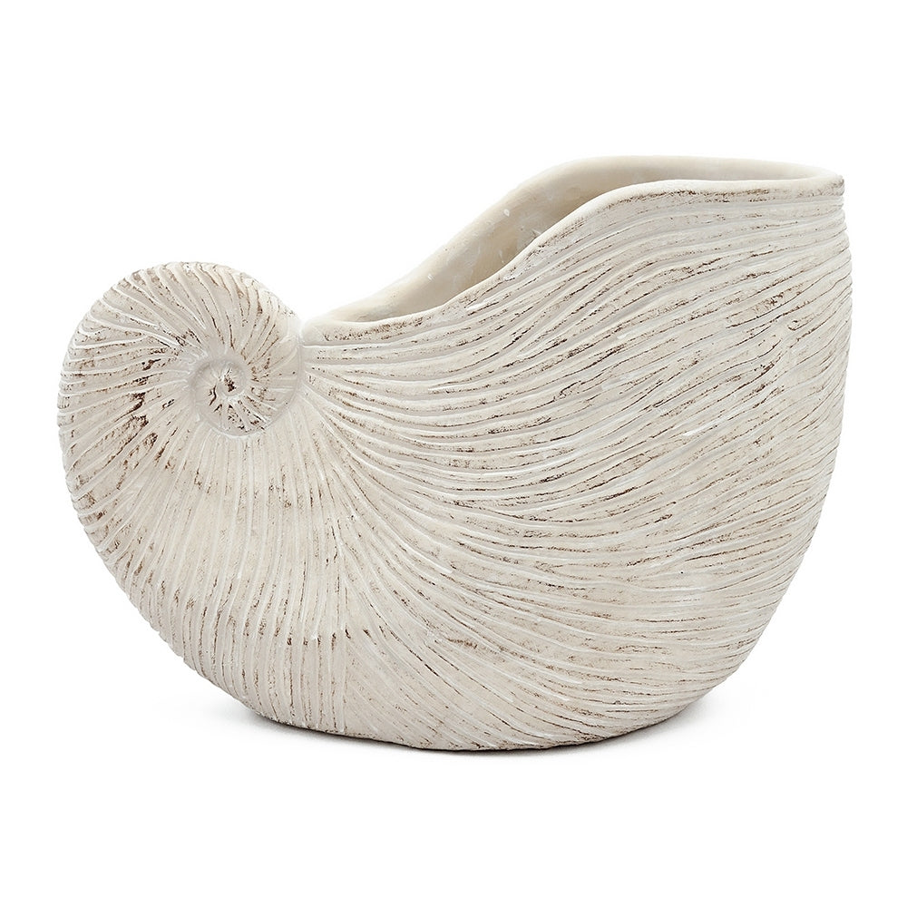 Nautilus shell planter in textured beige cement by HouseOfZazla, 11.5x6.7x7.7 in on Tampa Home & Garden Store