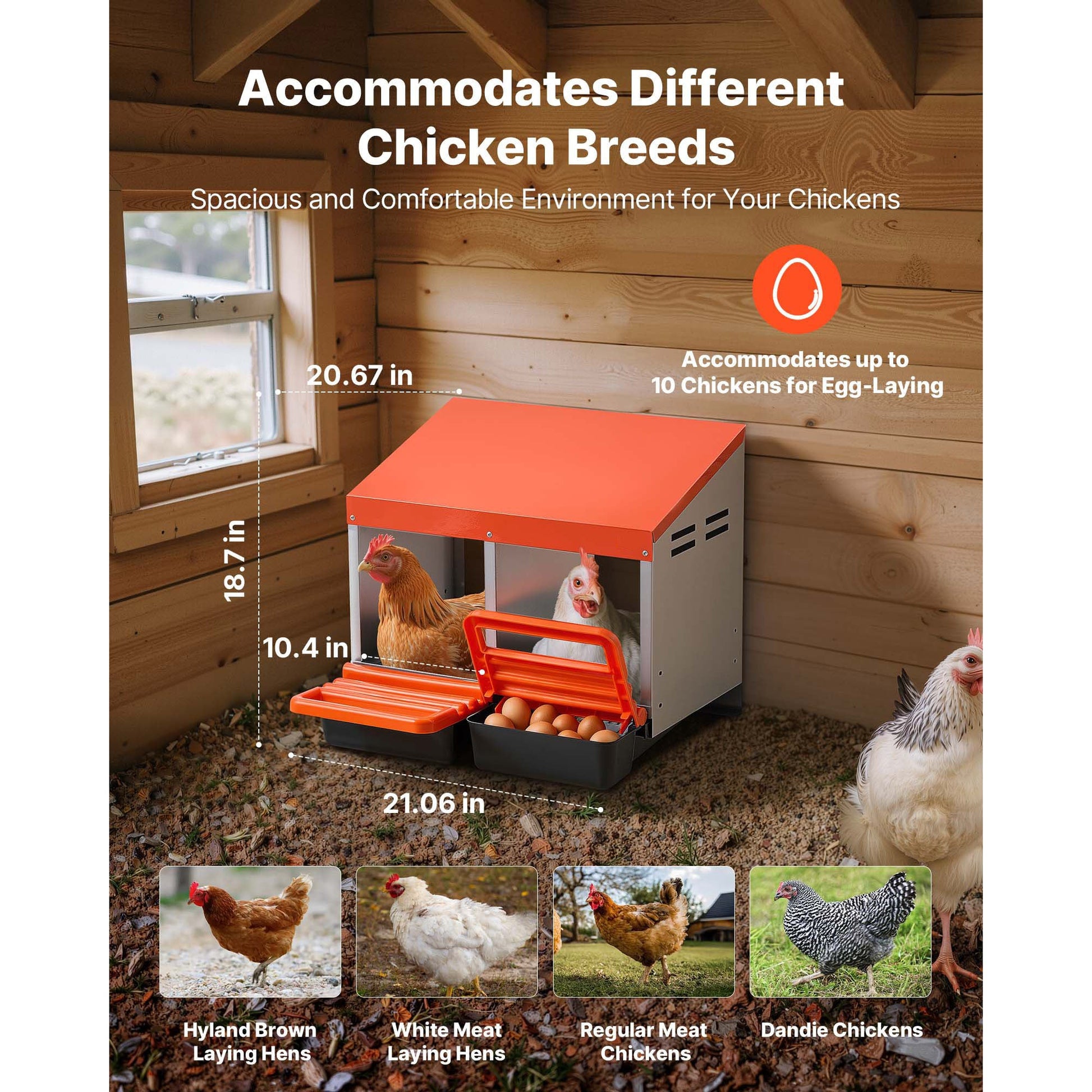 HouseOfZazla chicken nesting box with 2 compartments and orange lid in wooden coop on Tampa Home & Garden Store
