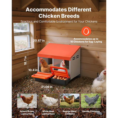 HouseOfZazla chicken nesting box with 2 compartments and orange lid in wooden coop on Tampa Home & Garden Store