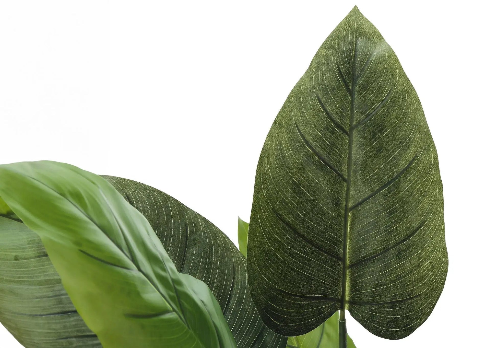 Artificial Aureum tree leaves; dark green foliage with pale veins plant Unique Piece Furniture on Tampa Home & Garden Store