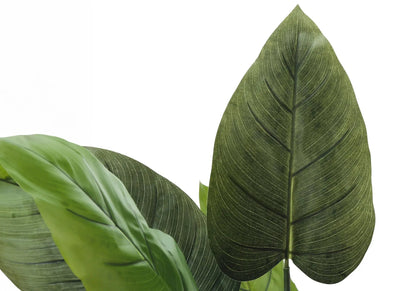 Artificial Aureum tree leaves; dark green foliage with pale veins plant Unique Piece Furniture on Tampa Home & Garden Store