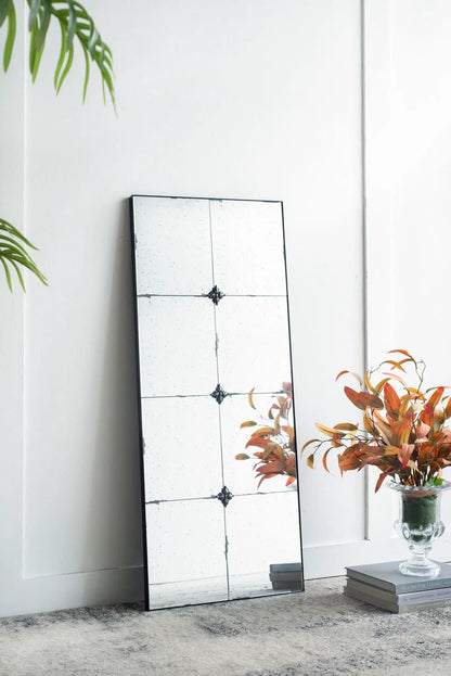 Traditional Glass Panel Mirror for Wall Decor