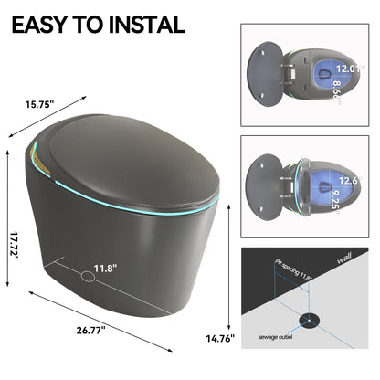 Smart Toilet with Ceramic Bidet by HouseOfZazla, matte black on Tampa Home & Garden Store