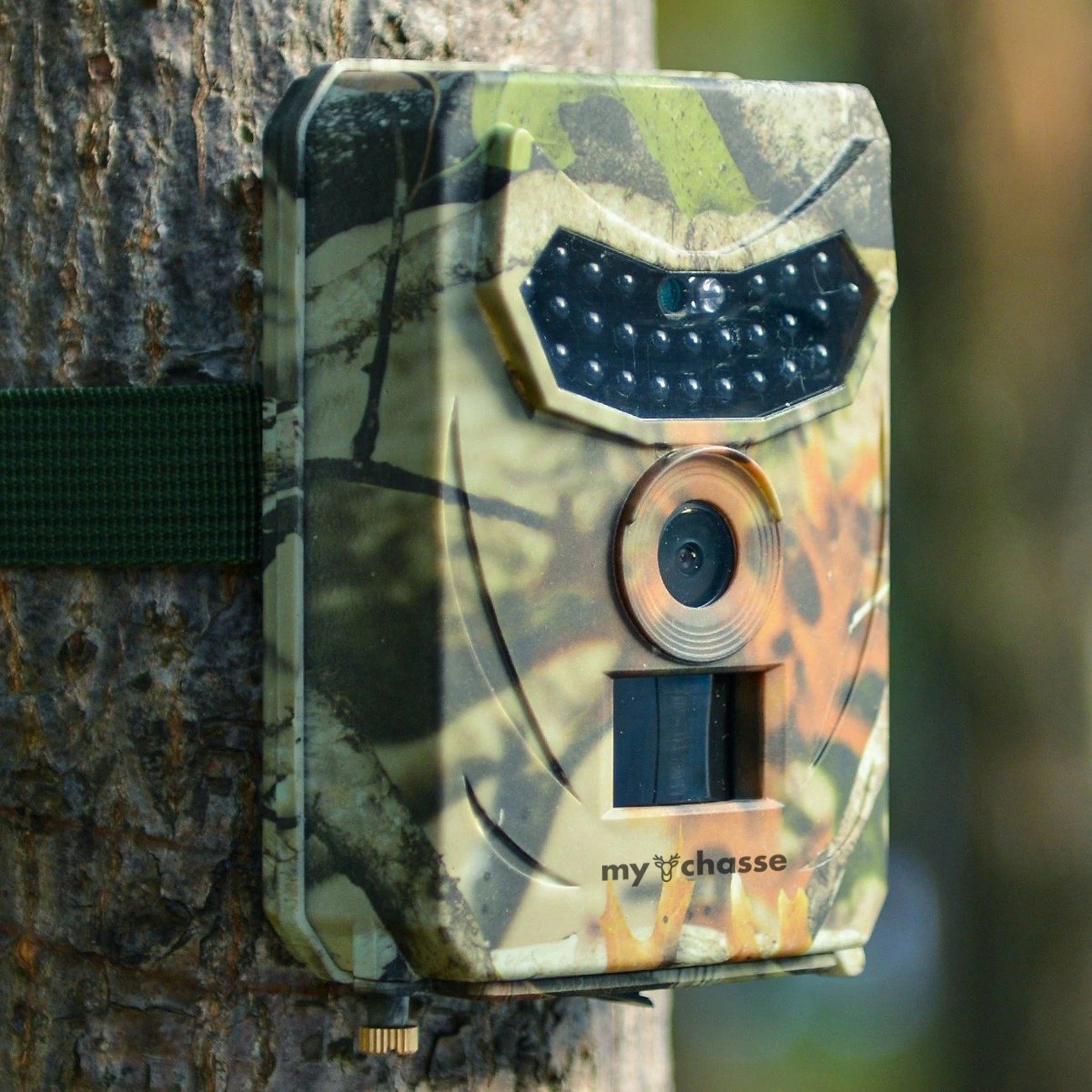 Camouflage forestry security camera trail cam with infrared LED array mounted on tree mychasse on Tampa Home & Garden Store